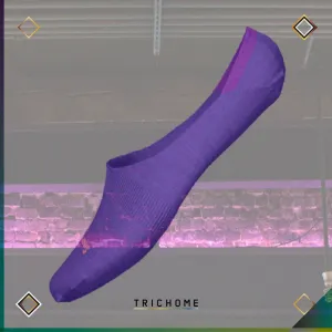 Women's Hide And Seek No Show Socks